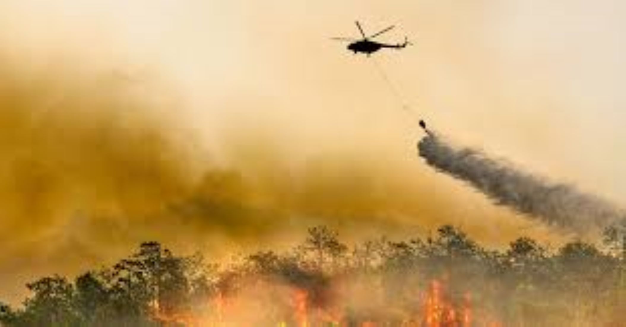 Wildfires Prompt Cyprus President To Cut Short Jordan Visit
