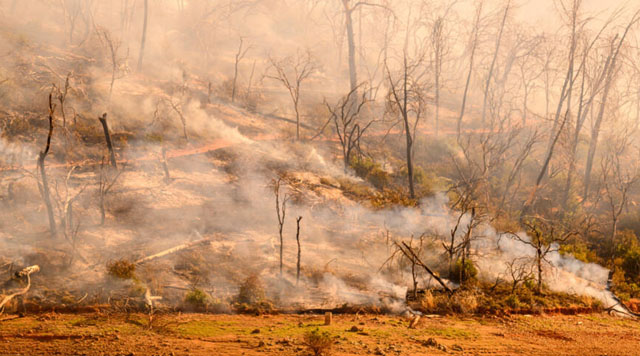 US wildfires: Thousands told to flee raging California wildfire