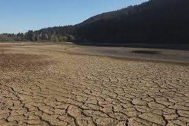 Worst yet to come in once-in-a-century southern Africa drought, UN says