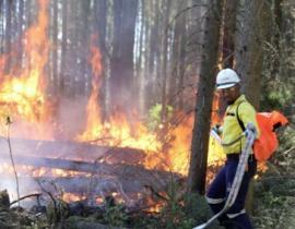 South Africa firefighters to help fight Canadian fires