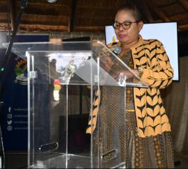 South Africa: Tourism remains a key driver of the economy – Tourism Deputy Minister Sotyu