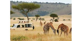 UNDP rolls out strategy to link tourism with rural economy