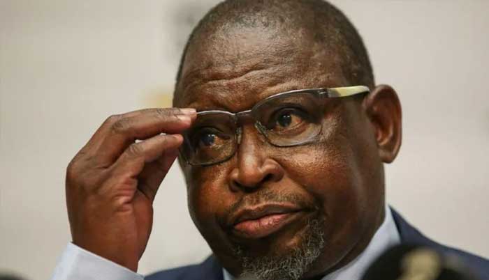 South Africa: Finance Minister Godongwana fails to unveil budget after tax row