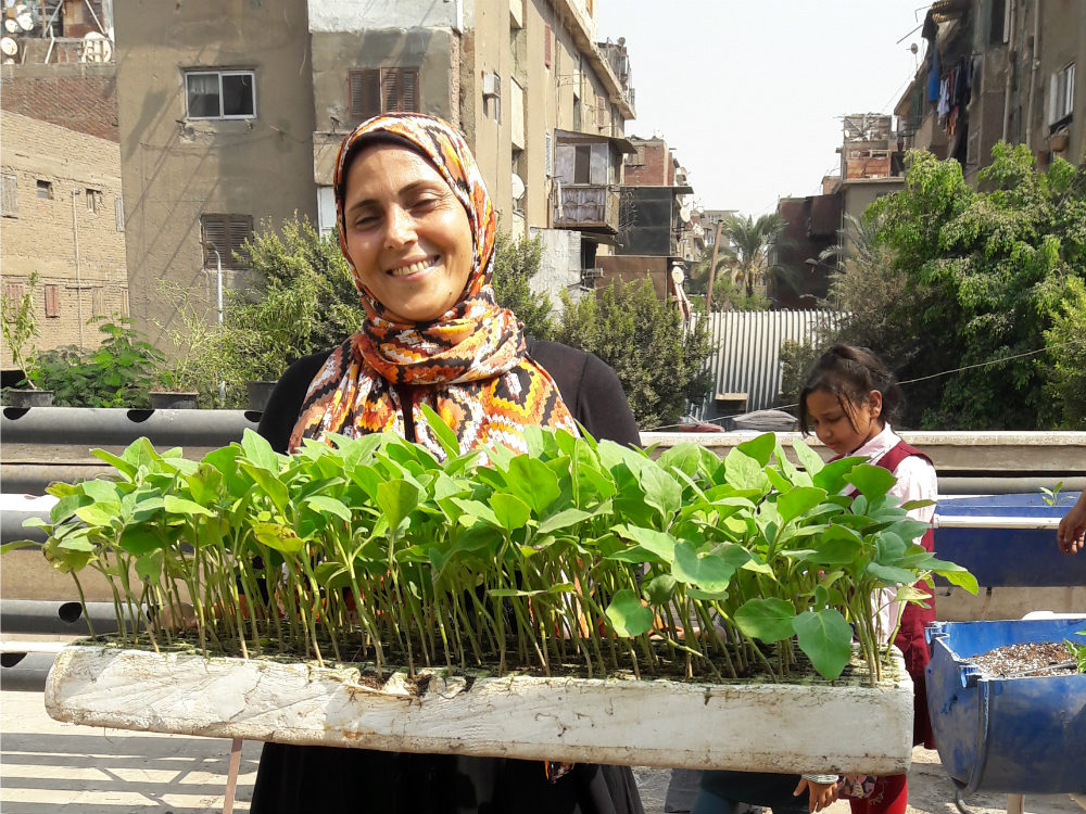 Rooftop Farming Transforms Once-Impoverished Egyptian Village Into Thriving Oasis