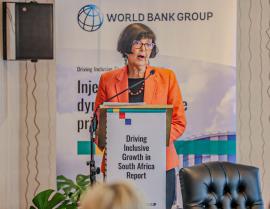 South Africa: Minister Creecy outlines plans to reinvigorate logistics sector