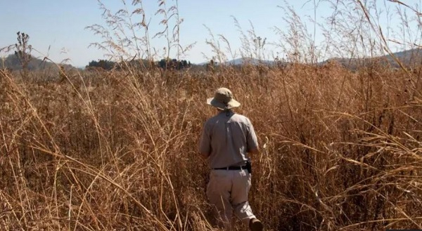 Zimbabwe makes first compensation payments to white farmers over land grabs