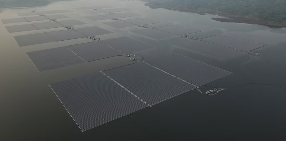 Indonesia To Enter European Market With Green Energy Commodities