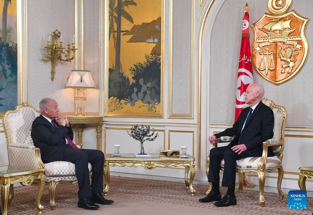Tunisian president reaffirms support for Palestinian statehood in talks with Arab League chief