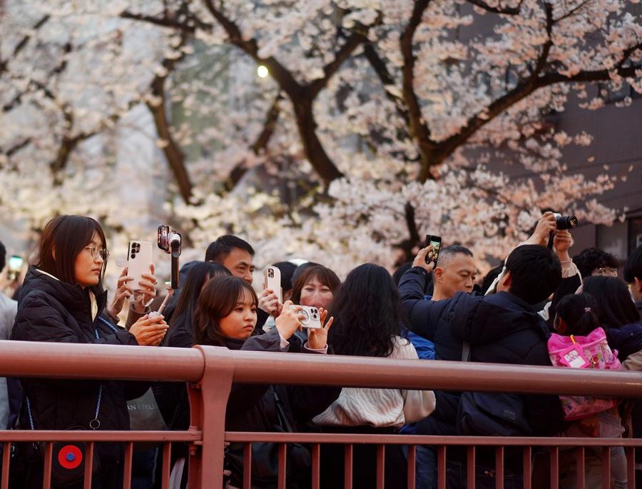 Japan Sees Record 3.5 Million Foreign Visitors For March