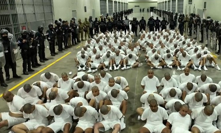 Salvadoran NGOs launch court challenge to jailing of Venezuelans