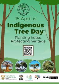 South Africa: Government marks Indigenous Tree Day