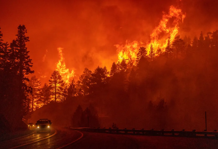 Forest Fire Destroys 7,300 Hectares Of Land In Eastern Mongolia