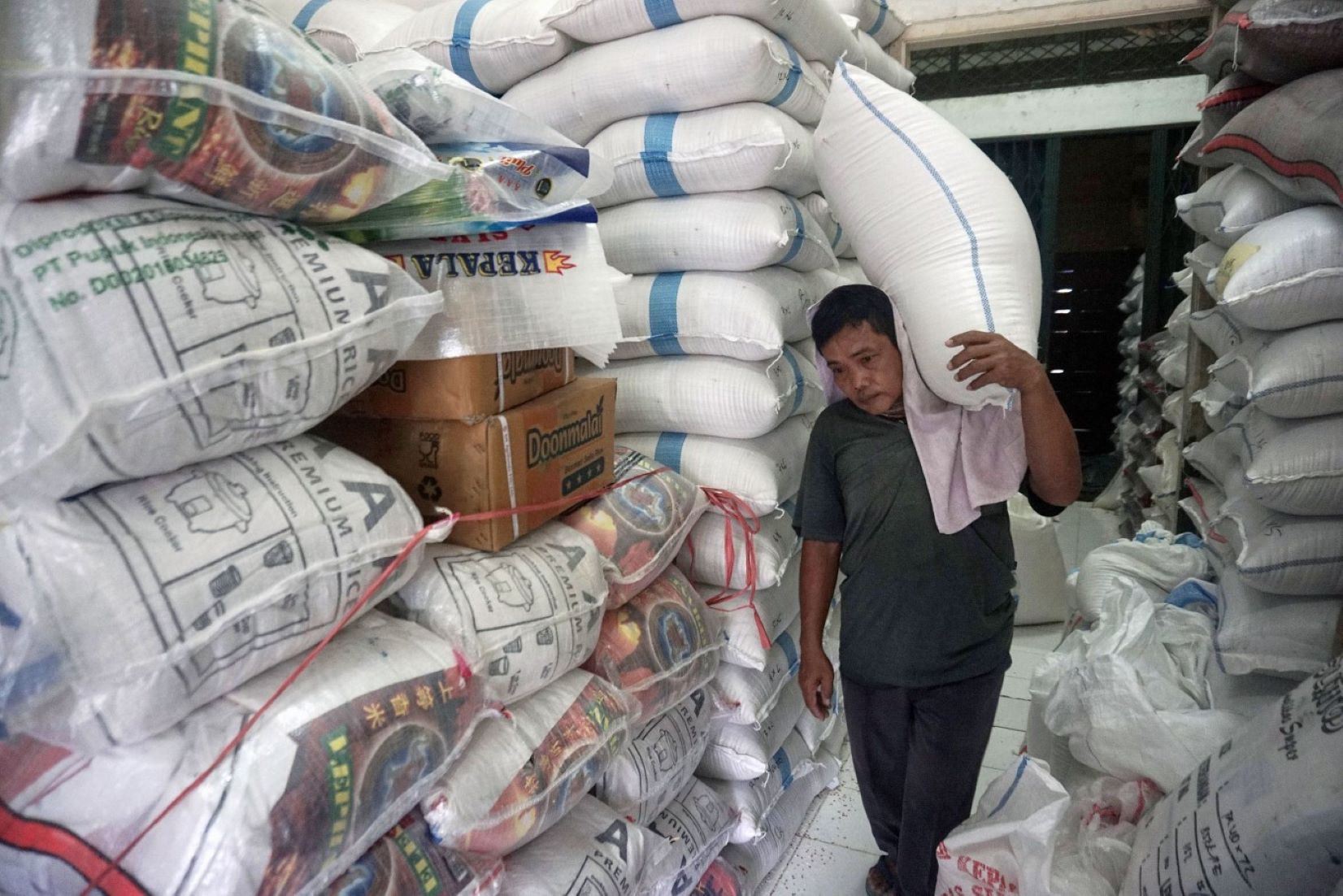 Indonesia’s Rice Production Forecast Raises, Creating Export Opportunities: Official