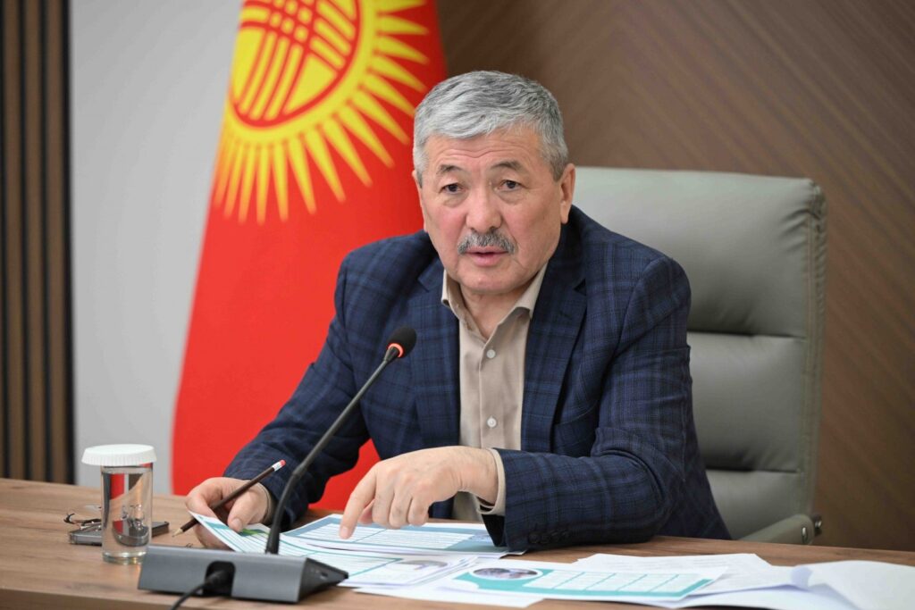 Kyrgyzstan Maintains High Economic Growth Rate Since Early This Year: PM