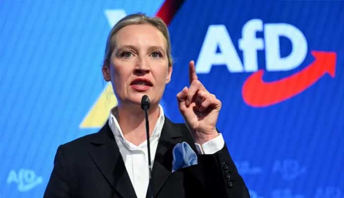 Germany: Afd, which came second in federal elections, classified as extreme-right by Intelligence Agency