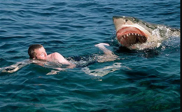 Man Bitten By Shark At South Australian Beach