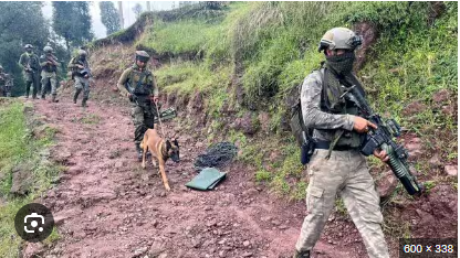 Gov’t Forces Killed Three Militants In Indian-Controlled Kashmir