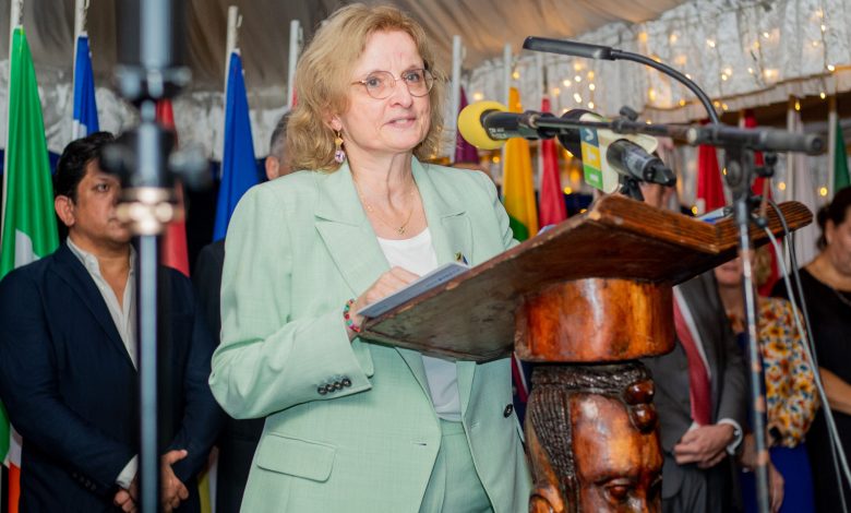 Tanzania gets 3tri/- EU boost