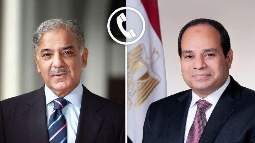 Egyptian President, Pakistani PM Discussed India-Pakistan Ceasefire, Gaza Crisis Over Phone