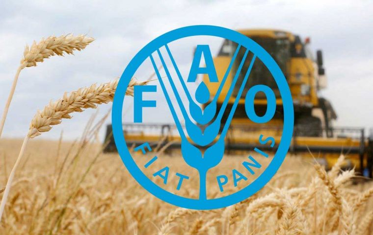 FAO Food Price Index increases in April, cereals, meat and dairy lead the tendency