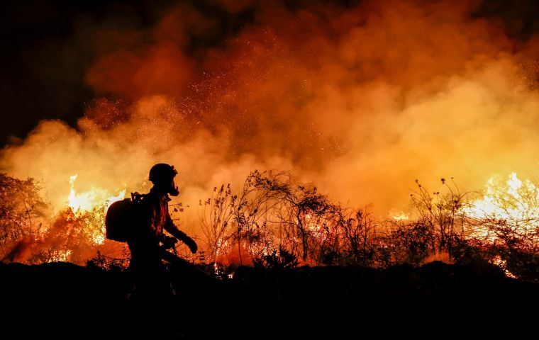 Brazil accounted for most of the world’s forest fires last year