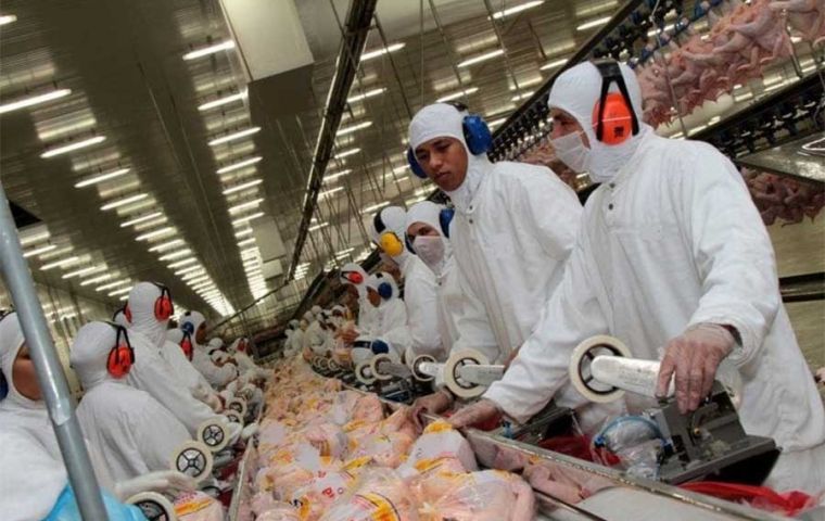 Brazilian poultry exports admitted again in 17 countries