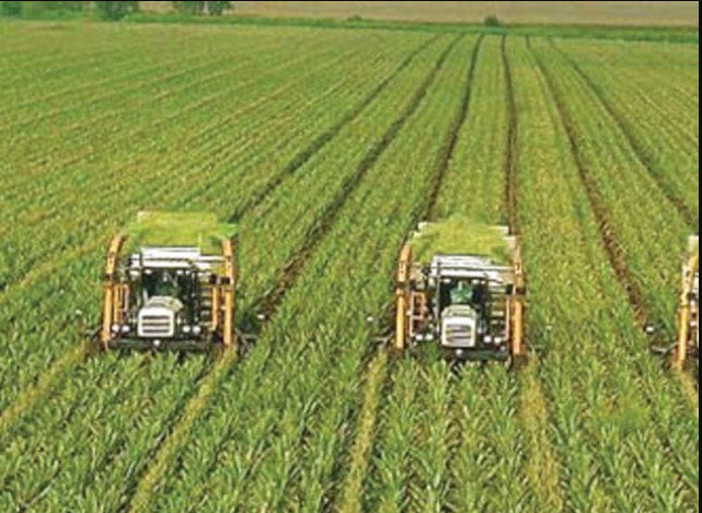 Pakistan Modernising Agriculture Sector To Boost Economy: PM