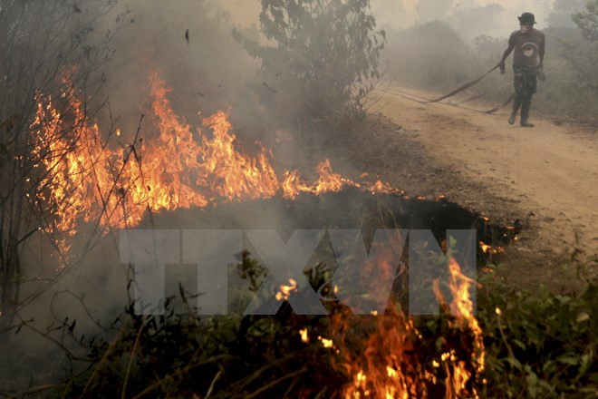 Indonesia’s South Sumatra Declares Emergency Alert For Forest Fires