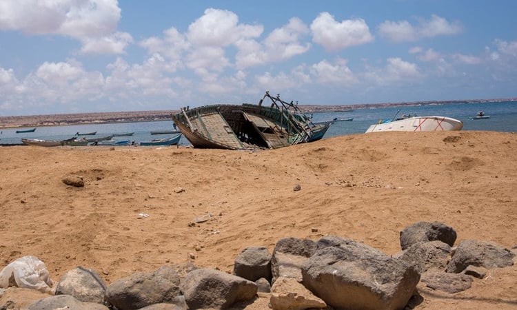 Eight dead, 22 missing as migrants forced off boat by human traffickers near Djibouti: IOM