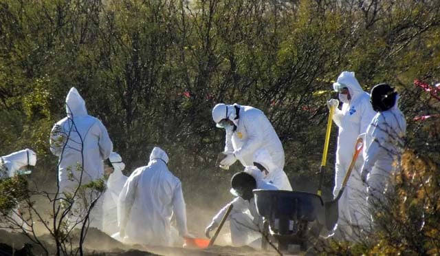 Mexico: Thirty-four bodies found in Mexican mass grave in western Jalisco state