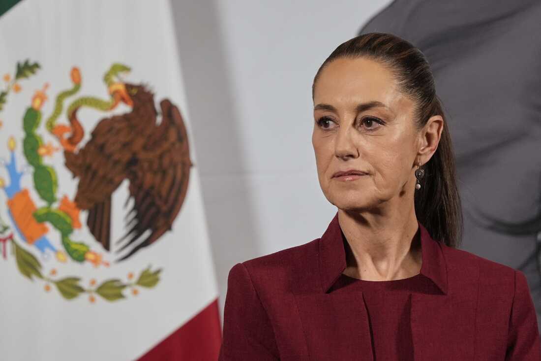 Mexico proposes broad deal with US covering security, immigration, trade: Pres Sheinbaum