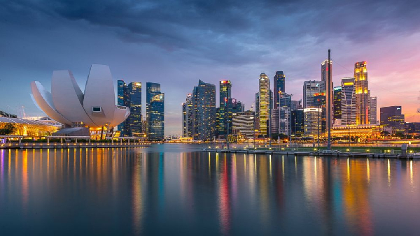 About 700 delegates expected at Africa-Singapore Business Forum: organiser Enterprise Singapore