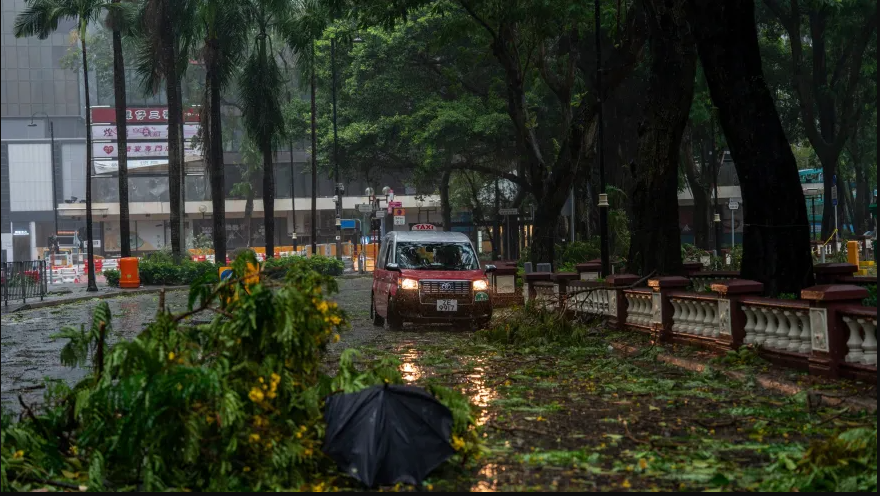 Typhoon Wipha Causes Heavy Rains, Power Outages After Landfall In Vietnam
