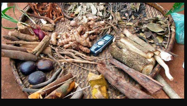 Laos Seeks To Develop Traditional Medicine