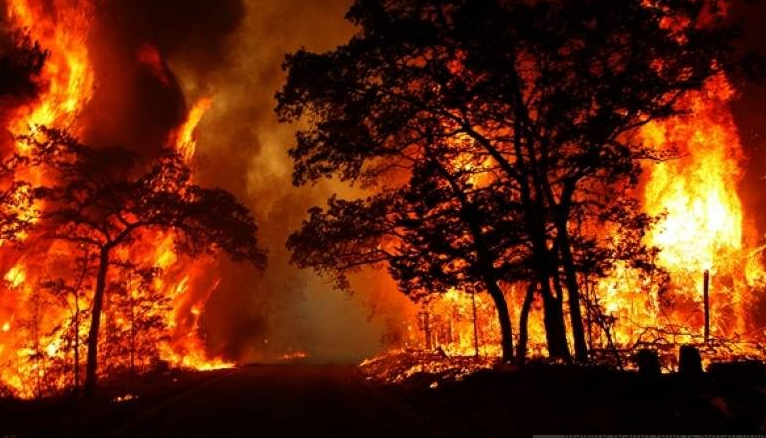 Two Major Wildfires Forced Mass Evacuations In Türkiye