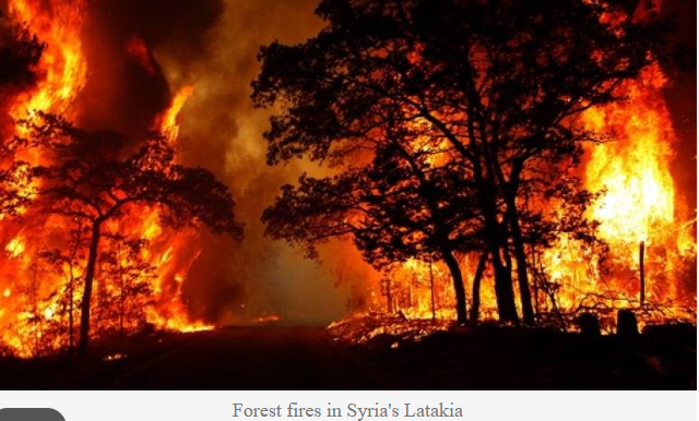 Wildfires In Syria’s Latakia Affect Nearly 2,000 Families