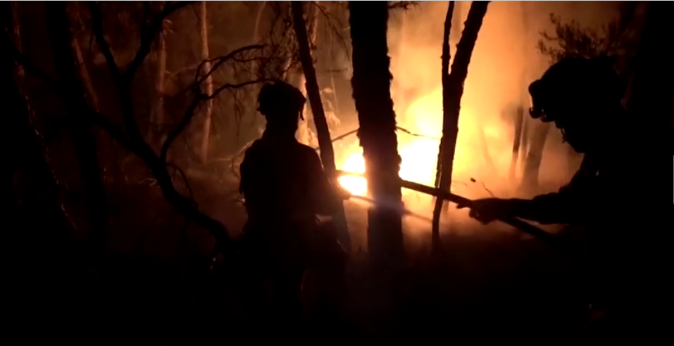 Expert Warns Of Rising Heatwave, Wildfire Risks In Spain