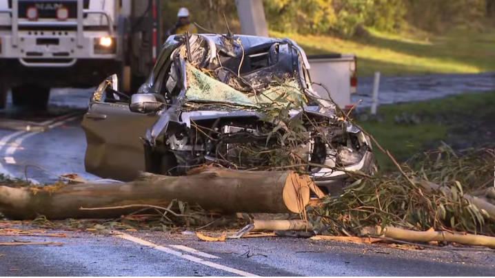 Driver Critically Injured By Falling Tree Amid Severe Storm In Eastern Australia