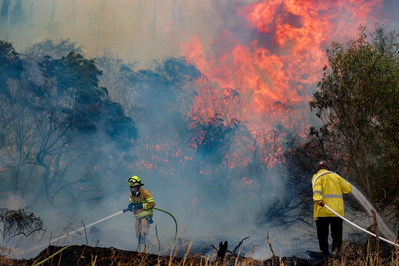 Türkiye Arrested 10 Suspects Over Forest Fires: Minister