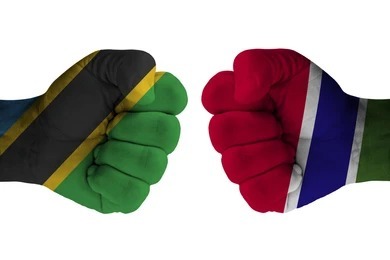 Tanzania, Gambia to deepen ties in education sector