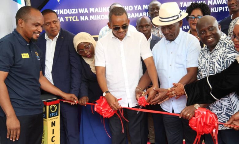 Tanzania, Kenya launch cross-border fiber optic link