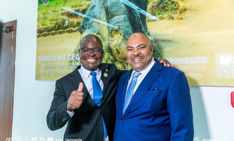 Tanzania, Zimbabwe pledge  to broaden diplomatic ties in strategic areas