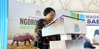 Tanzania targets 8 mln tourists by 2030: minister