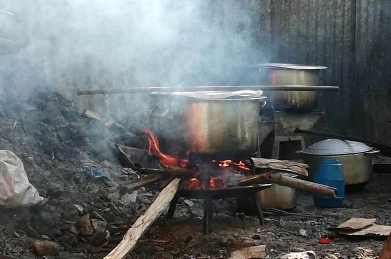 One billion Africans being harmed by cooking pollution: International Energy Agency