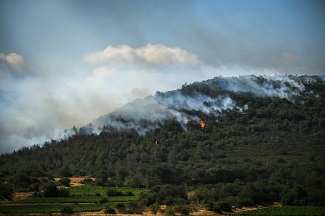 France: Forest fire blazes in southern city of Narbonne