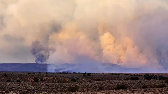 US: Tourists, residents evacuated from Grand Canyon due to wildfires