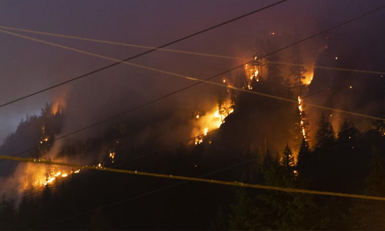 Canada wildfires burn area the size of Croatia