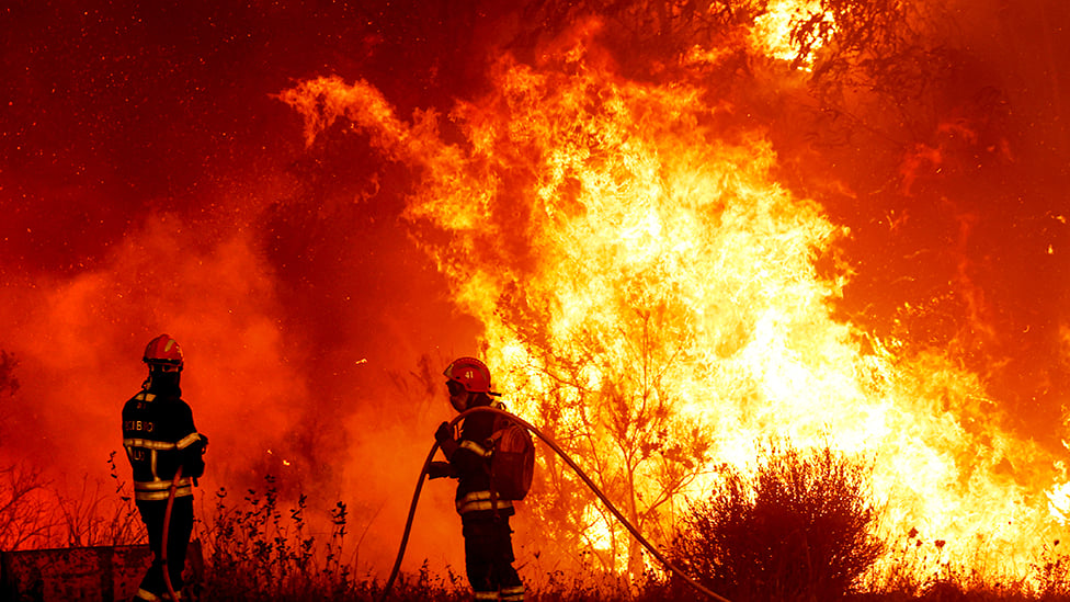 Portugal battles to contain wildfires as almost the whole country being put on high alert