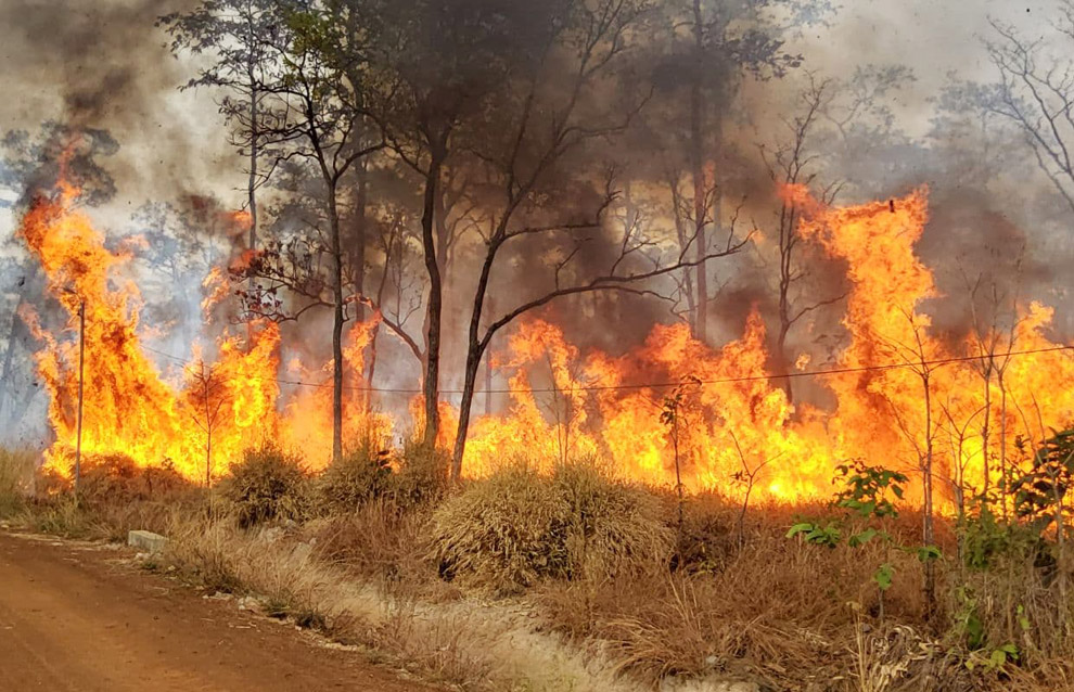 Indonesia Ramps Up Response To Worsening Forest Fires In Sumatra