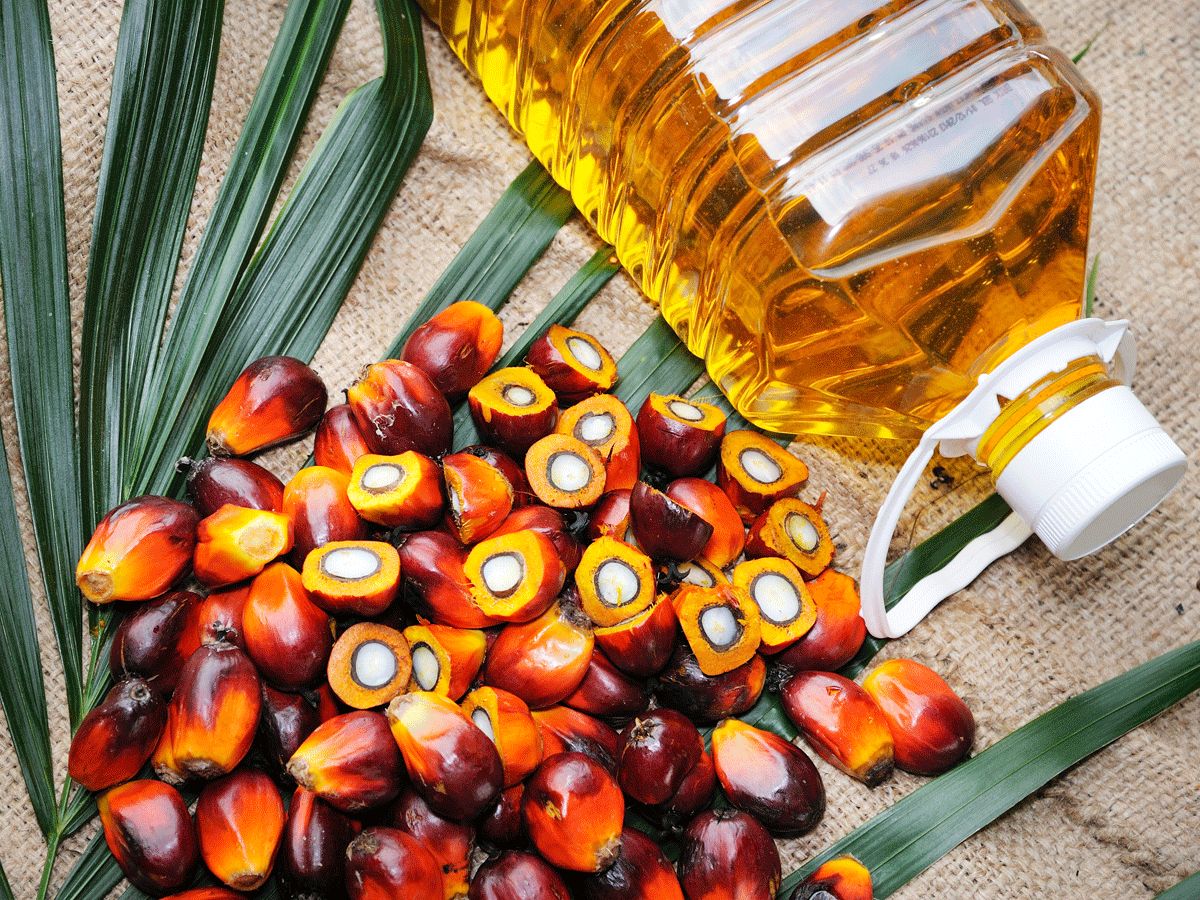 Indonesia Raises Crude Palm Oil Benchmark Price, Cuts Cocoa Reference Rate For July